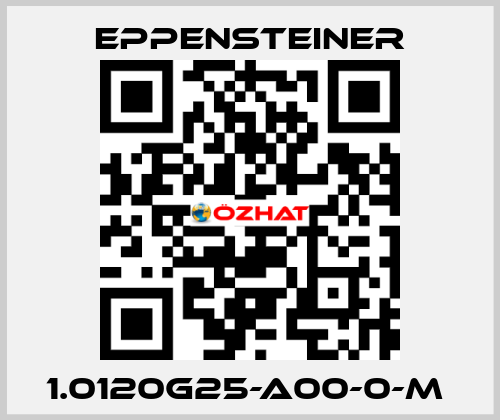 1.0120G25-A00-0-M  Eppensteiner