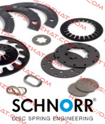 M30 – DIN DIN 6796 AISI 310  Schnorr