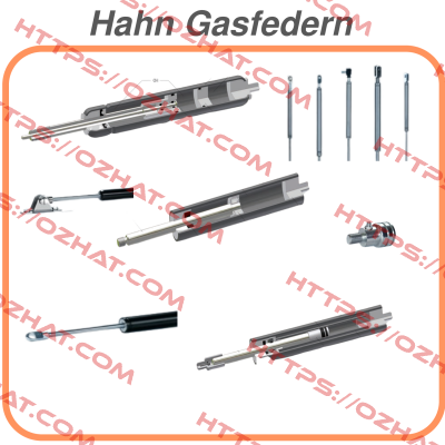 1096977 Hahn Gasfedern