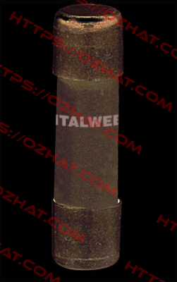 1460010 (pack x10) Italweber