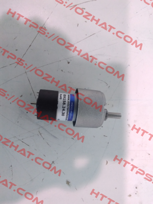 RH158.24.30 Micro Motors