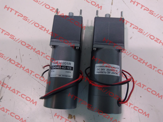 CIGW 60GM 1/15 24VDC CBF