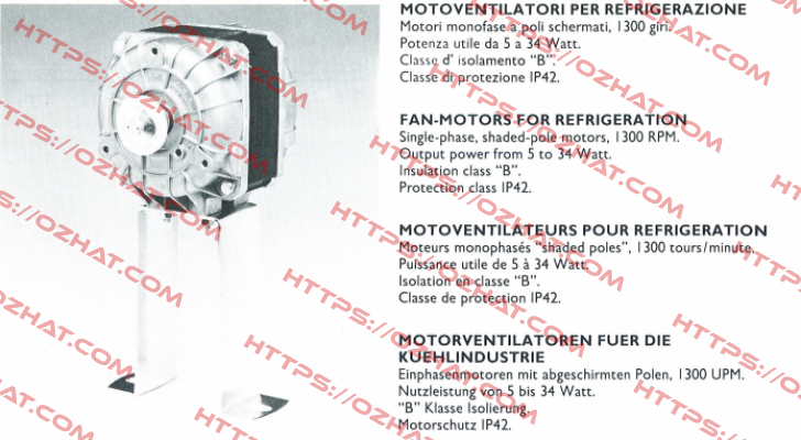 82-1305 Euro Motors Italia