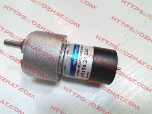 RH158.24.250 Micro Motors