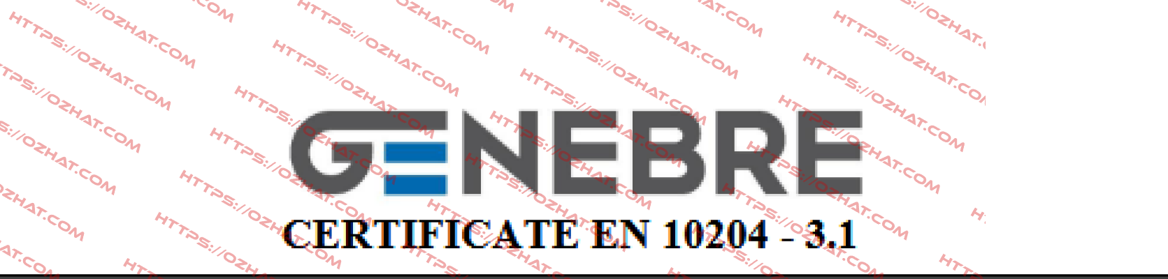 Certificate 3.1 Genebre