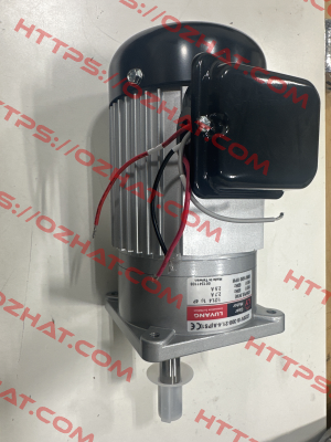 J220V18-300-21.4-A(G2) Luyang Gear Motor