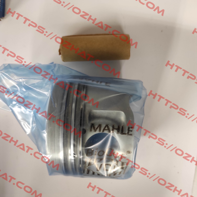 029 82 00 MAHLE