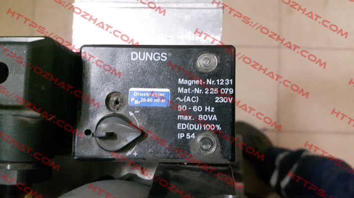 228295 (1231 AC 230 V IP 54) Dungs