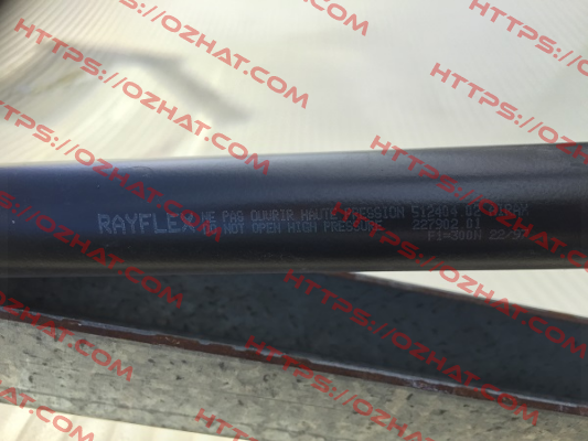 512404   Rayflex