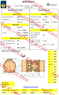 EN60300075A0JA0000  Type MVE 3000/1 Oli