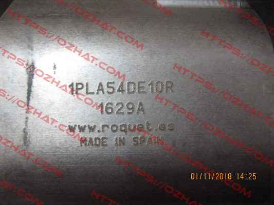 1PLA54DE10R P1BRN3036L10 Roquet pump