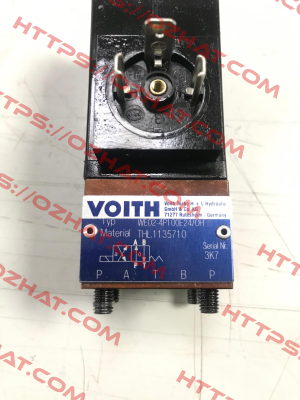 WE02-4P100E24/0H Voith