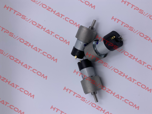 RH158.24.100 Micro Motors