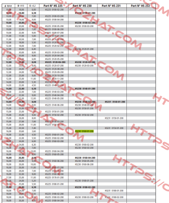 HS230 0160-01-200 Guarnitec