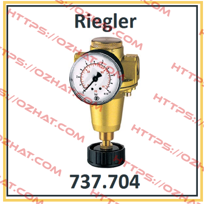 P/N: 100893 Type: 737.704 Riegler