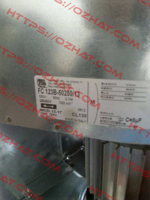 FC 123B-50250/13 Euro Motors Italia