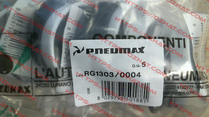 1303-1304-1305.63.0.01 Pneumax