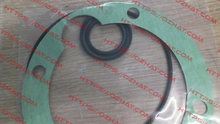 SEAL KIT for GR70-SMT16B pump Settima