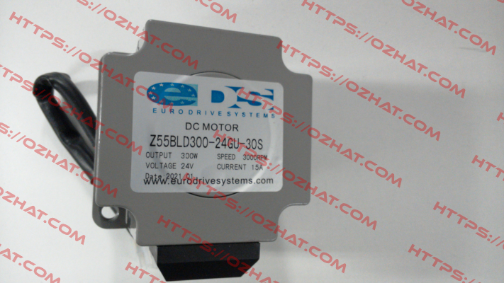 Z5BLD300 300W 24V 3000 rpm ZD-Motors