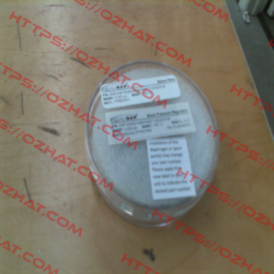 RBK-H3P1SNN8-NSBP3000T150G22VVB Equilibar