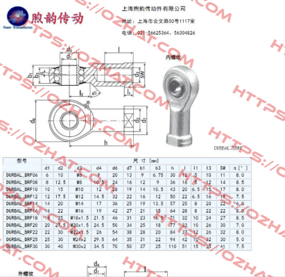 BRF 20-00-502 Durbal