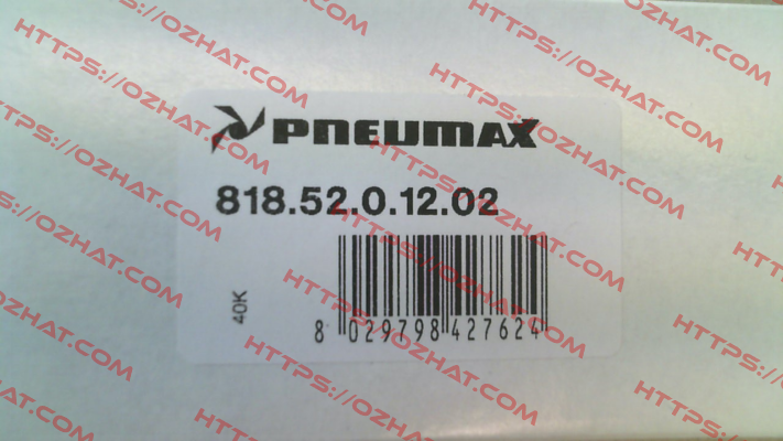 818.52.0.12.02 Pneumax