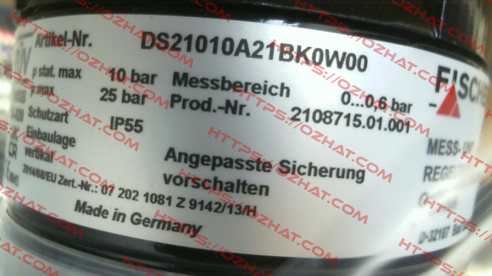 DS21010A21BK0W00 Fischer