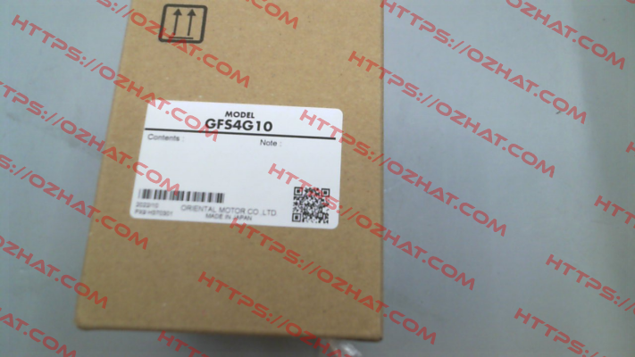 GFS4G10 Oriental Motor