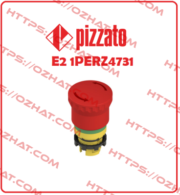 E2 1PERZ4731 Pizzato Elettrica