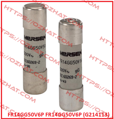 FR14GG50V6P (G214113)  Mersen