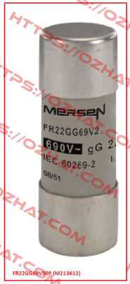 FR22GG69V50P (M213612)  Mersen