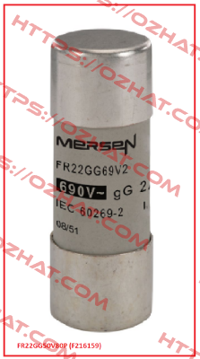 FR22GG50V80P (F216159) Mersen