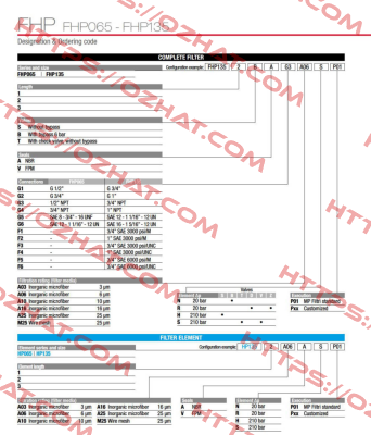 FHP-135-1-B-A-G1-M25-N-P01 MP Filtri