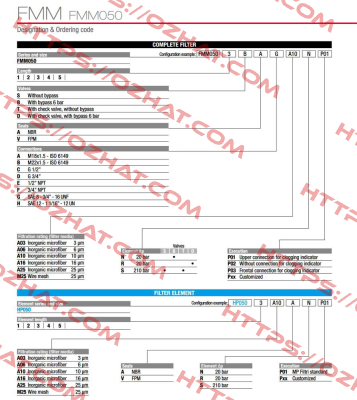 FMM-050-1-B-A-D-A10-N-P03 MP Filtri