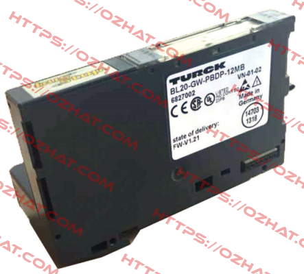 BL20-GW-PBDP-12MB Turck