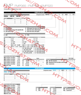 FMP-065-1-B-A-G1-A25-N-P01 MP Filtri