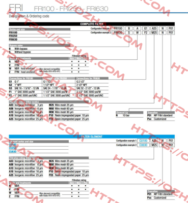FRI-100-B-A-G1-A25-N-P01 MP Filtri