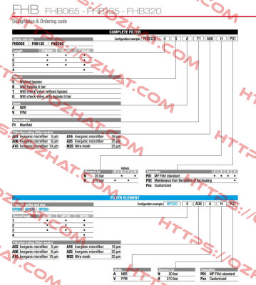 FHB-065-1-B-A-F1-A10-N-P01 MP Filtri