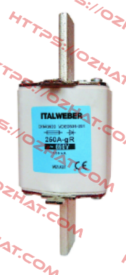 1546315A Italweber