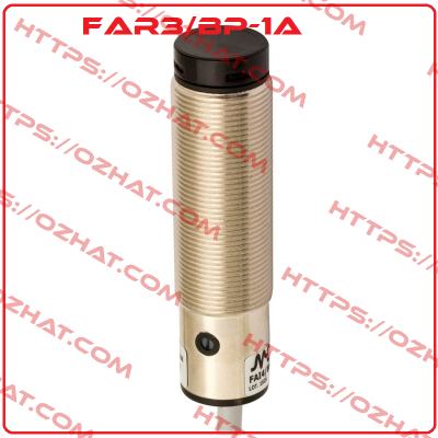 FAR3/BP-1A Micro Detectors / Diell