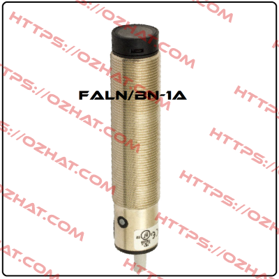 FALN/BN-1A Micro Detectors / Diell