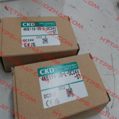 4KB119-00-L-DC24V Ckd